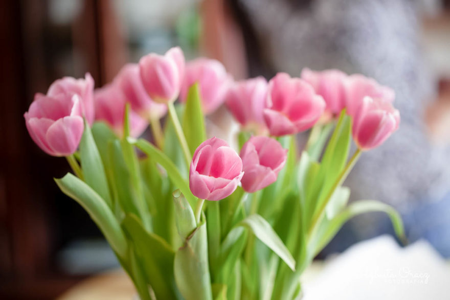 kwiaty-tulipany-slubne-zdjecia-slubne